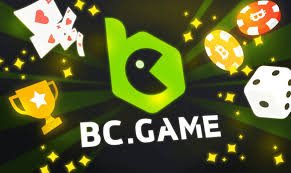 Complete Guide to BC.Game Japan Registration -207968936