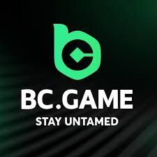 Complete Guide to BC.Game Japan Registration -207968936